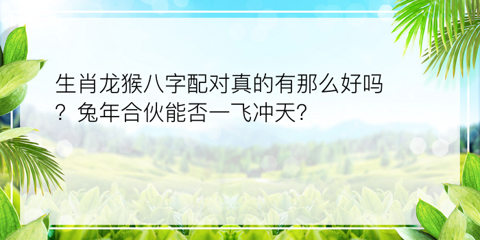 生肖龙猴八字配对真的有那么好吗？兔年合伙能否一飞冲天？