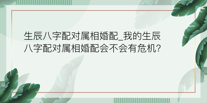 如何用生辰八字起名字游戏截图