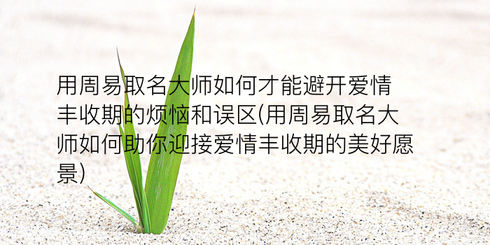 沈阳公司起名游戏截图