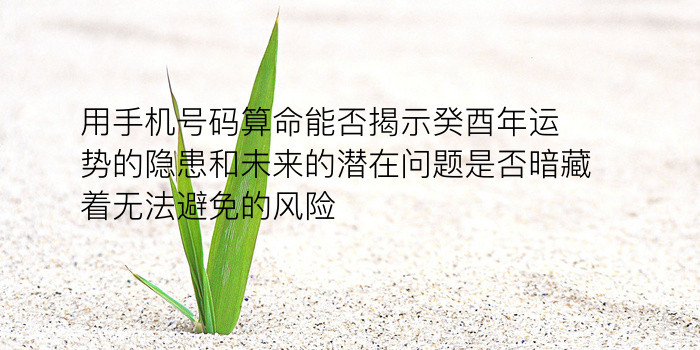 女鼠生肖配对游戏截图