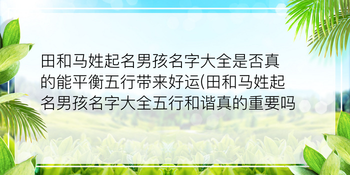 周易取名手机破解版游戏截图