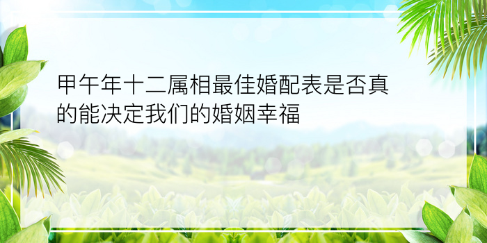 甲午年十二属相最佳婚配表是否真的能决定我们的婚姻幸福