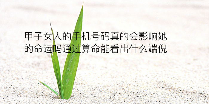 生日算命配对游戏截图