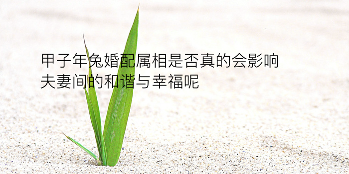 周易车牌号码测吉凶游戏截图