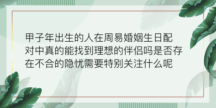 车牌号字母吉凶游戏截图