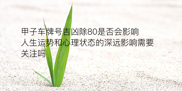 车牌号吉凶查询打分游戏截图