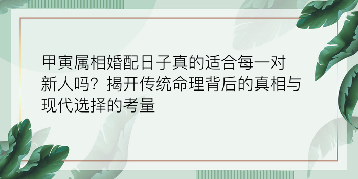 甲寅属相婚配日子真的适合每一对新人吗？揭开传统命理背后的真相与现代选择的考量