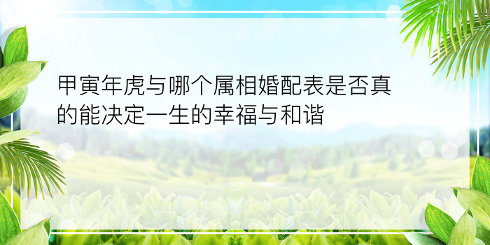 甲寅年虎与哪个属相婚配表是否真的能决定一生的幸福与和谐