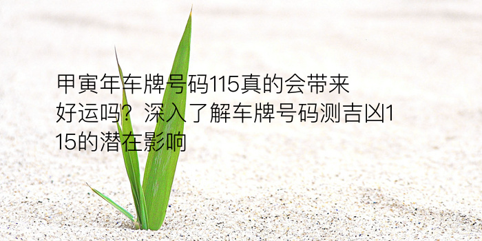 车牌号码测吉凶查询游戏截图