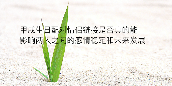 名字生日配对游戏截图