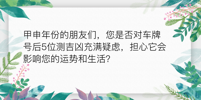 婚生肖配对游戏截图