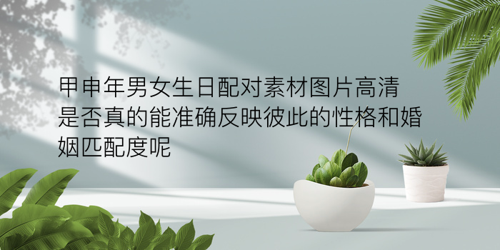 生肖配对表顺序游戏截图