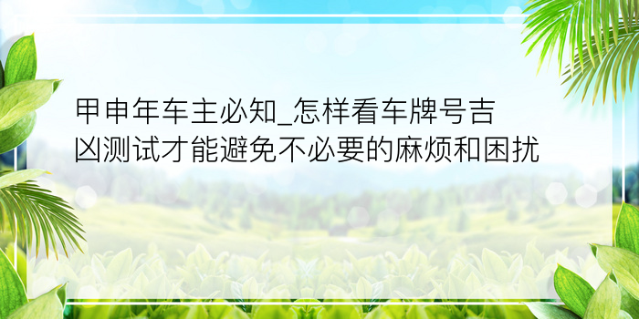 甲申年车主必知_怎样看车牌号吉凶测试才能避免不必要的麻烦和困扰