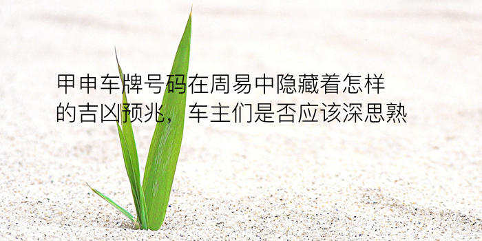 车牌数吉凶游戏截图