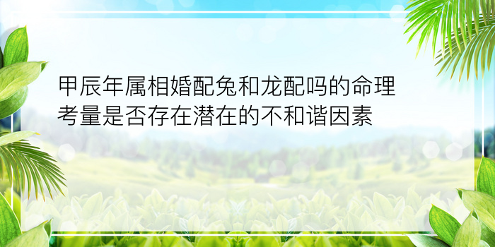 甲辰年属相婚配兔和龙配吗的命理考量是否存在潜在的不和谐因素