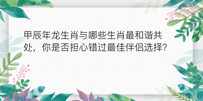 93年配对的属相婚配表游戏截图