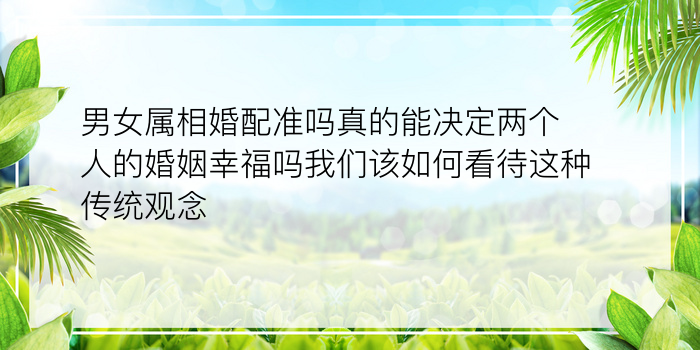 男女属相婚配准吗真的能决定两个人的婚姻幸福吗我们该如何看待这种传统观念