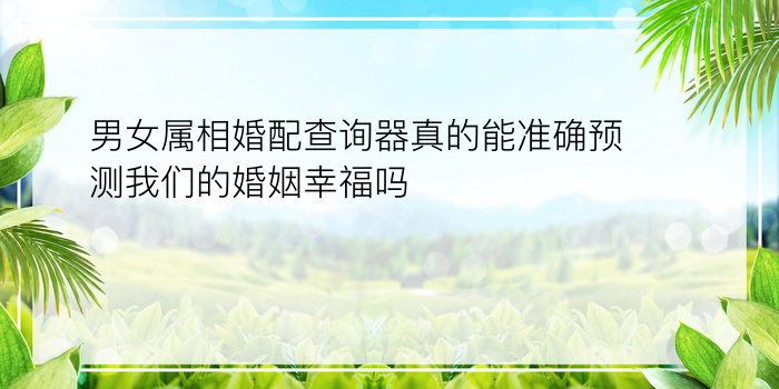 男女属相婚配查询器真的能准确预测我们的婚姻幸福吗