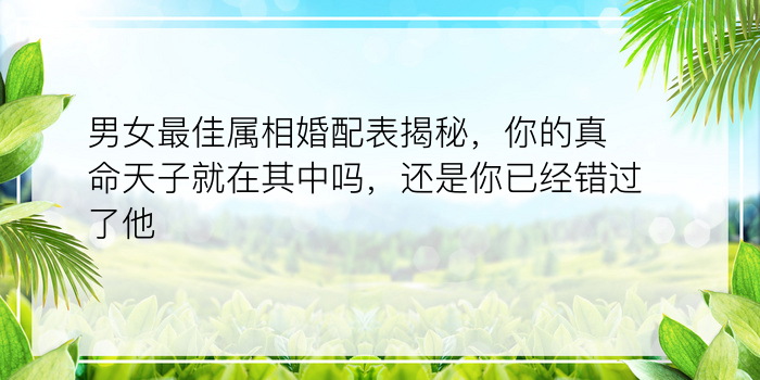 男女最佳属相婚配表揭秘，你的真命天子就在其中吗，还是你已经错过了他