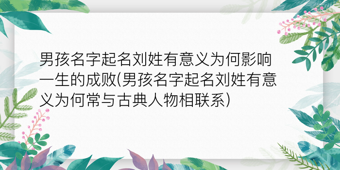 属虎男孩起名宜用字游戏截图