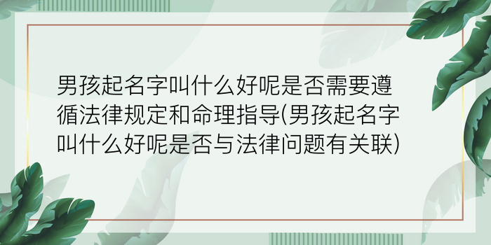 卢氏起名字大全男孩游戏截图