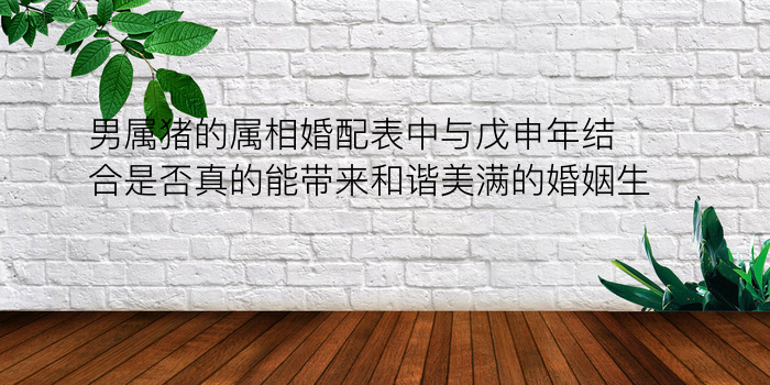 男属猪的属相婚配表中与戊申年结合是否真的能带来和谐美满的婚姻生活