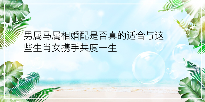 测车牌号吉凶最准网站游戏截图