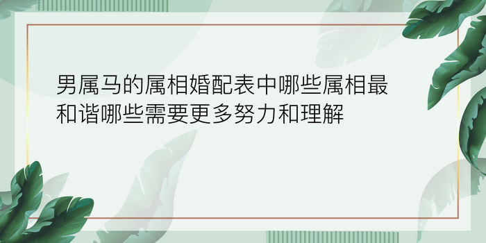 男属马的属相婚配表中哪些属相最和谐哪些需要更多努力和理解