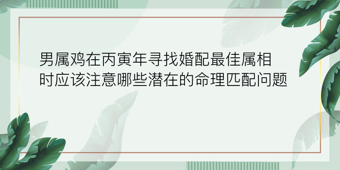 男属鸡在丙寅年寻找婚配最佳属相时应该注意哪些潜在的命理匹配问题