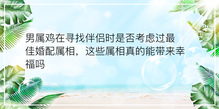 男属鸡在寻找伴侣时是否考虑过最佳婚配属相，这些属相真的能带来幸福吗