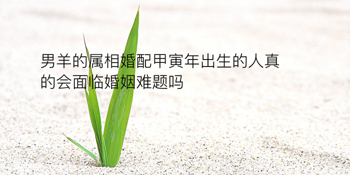 蛇八字配对游戏截图