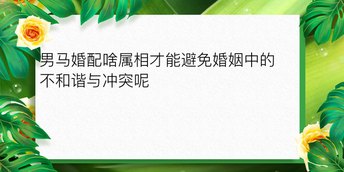 男马婚配啥属相才能避免婚姻中的不和谐与冲突呢