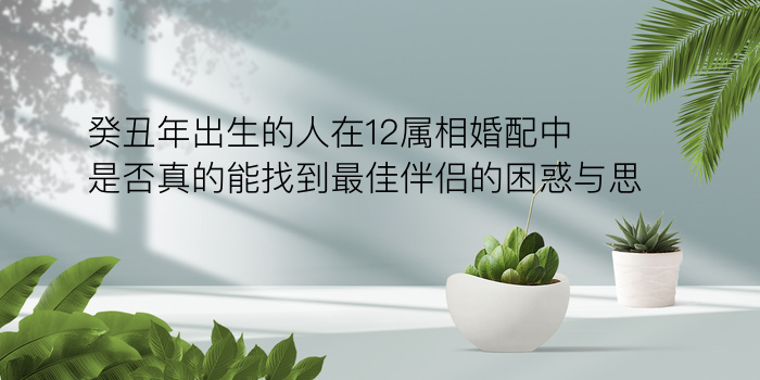 癸丑年出生的人在12属相婚配中是否真的能找到最佳伴侣的困惑与思考