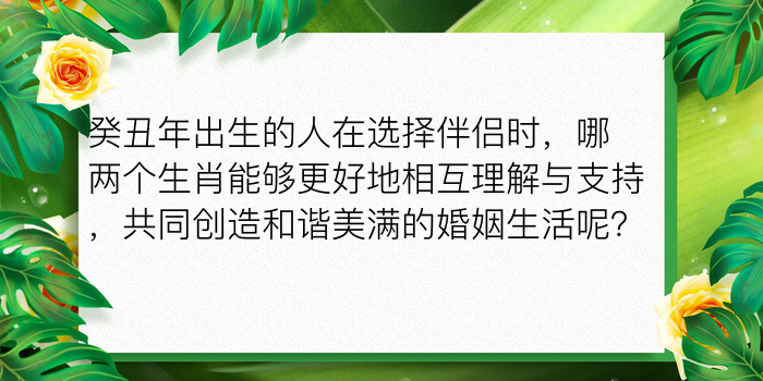 癸丑年出生的人在选择伴侣时，哪两个生肖能够更好地相互理解与支持，共同创造和谐美满的婚姻生活呢？