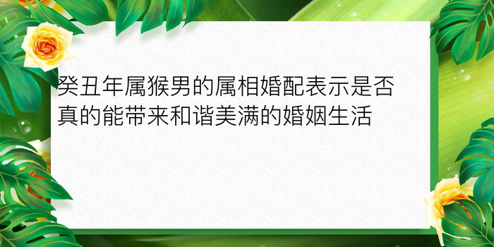 最佳情侣星座配对游戏截图