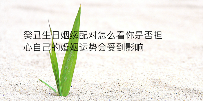 生肖配对禁忌游戏截图