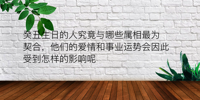 癸丑生日的人究竟与哪些属相最为契合，他们的爱情和事业运势会因此受到怎样的影响呢