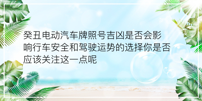 生日配对测试题游戏截图