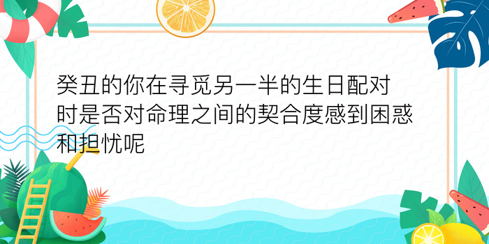 属鸡的婚配属相最好游戏截图