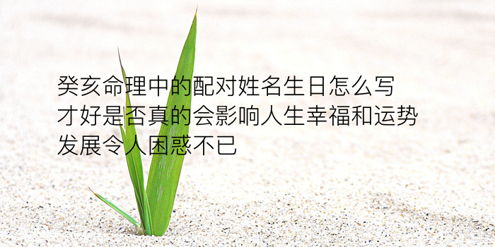 易经车牌号码测吉凶游戏截图