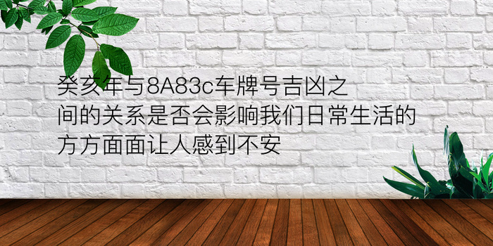 癸亥年与8A83c车牌号吉凶之间的关系是否会影响我们日常生活的方方面面让人感到不安