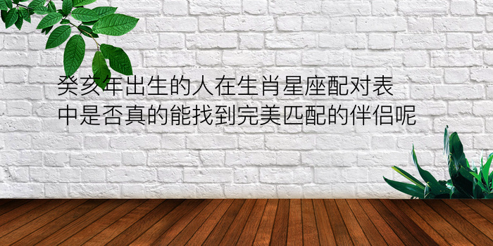 癸亥年出生的人在生肖星座配对表中是否真的能找到完美匹配的伴侣呢