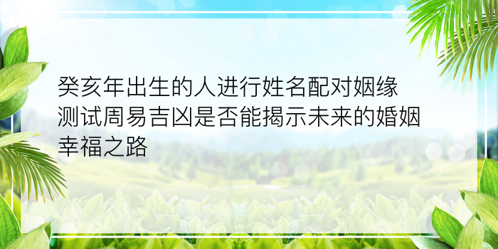 癸亥年出生的人进行姓名配对姻缘测试周易吉凶是否能揭示未来的婚姻幸福之路