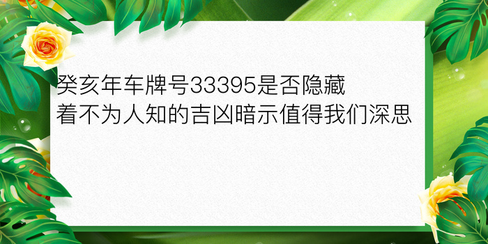 癸亥年车牌号33395是否隐藏着不为人知的吉凶暗示值得我们深思吗