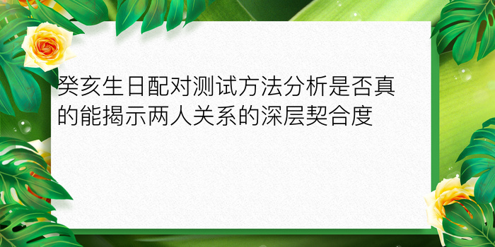 癸亥生日配对测试方法分析是否真的能揭示两人关系的深层契合度