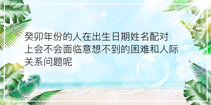 测试车牌号码吉凶打分游戏截图