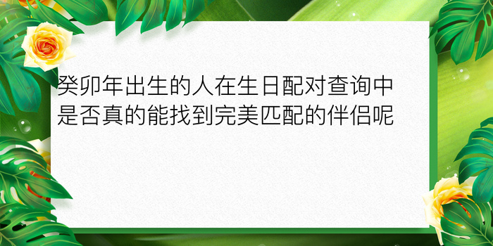 龙虎属相婚配好吗游戏截图