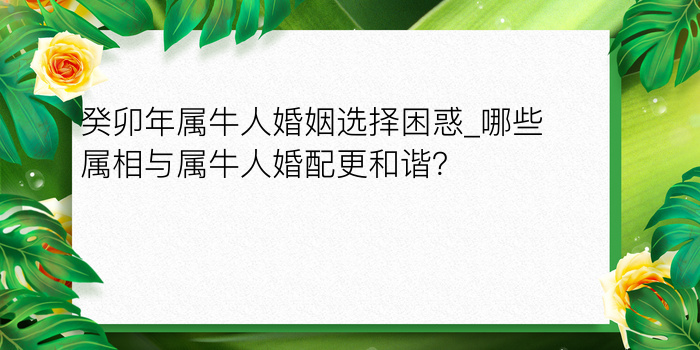 车牌号码测吉凶对照表游戏截图