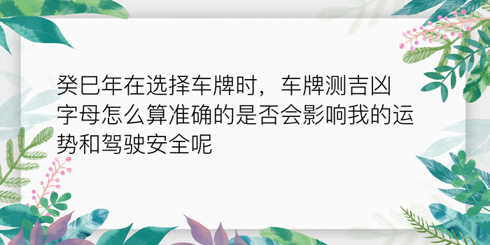 属龙的生肖配对游戏截图