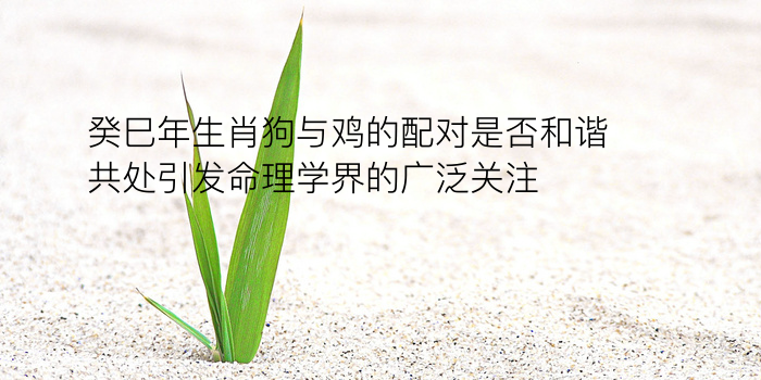 生日配对姻缘测试免费游戏截图